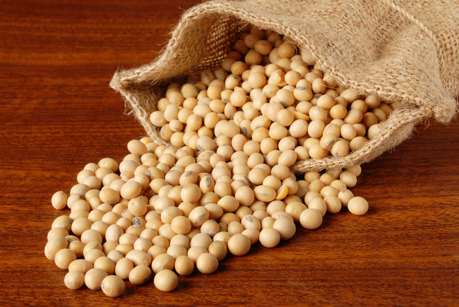 Soyabean Seeds